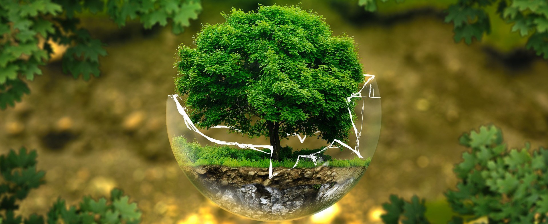 Környezetvédelmi termékdíj törvény változásai – szakmai fórum