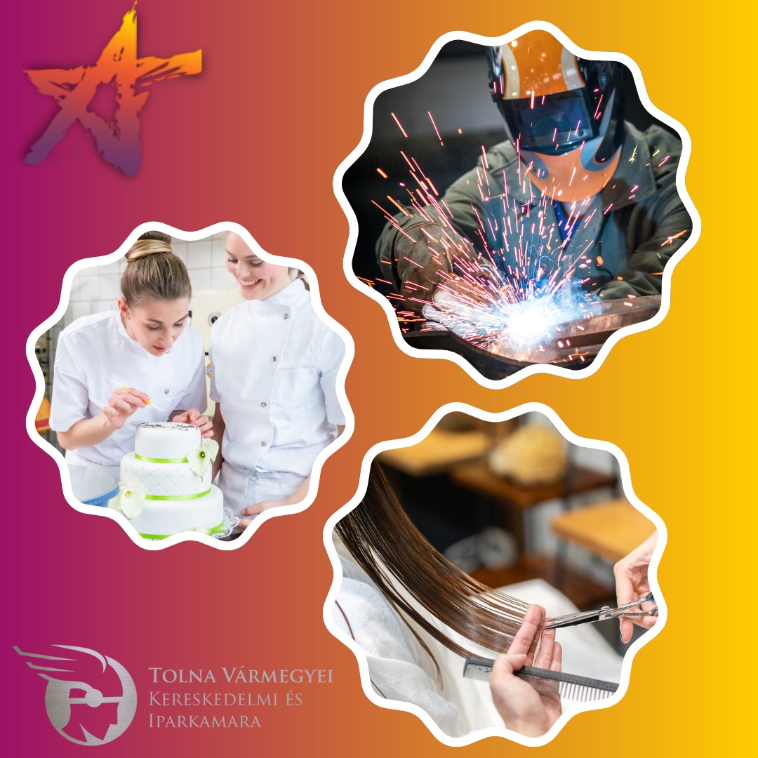 Tolna vármegyei sikerek a Szakma Kiváló Tanulója és az OSZTV területi előválogatóin