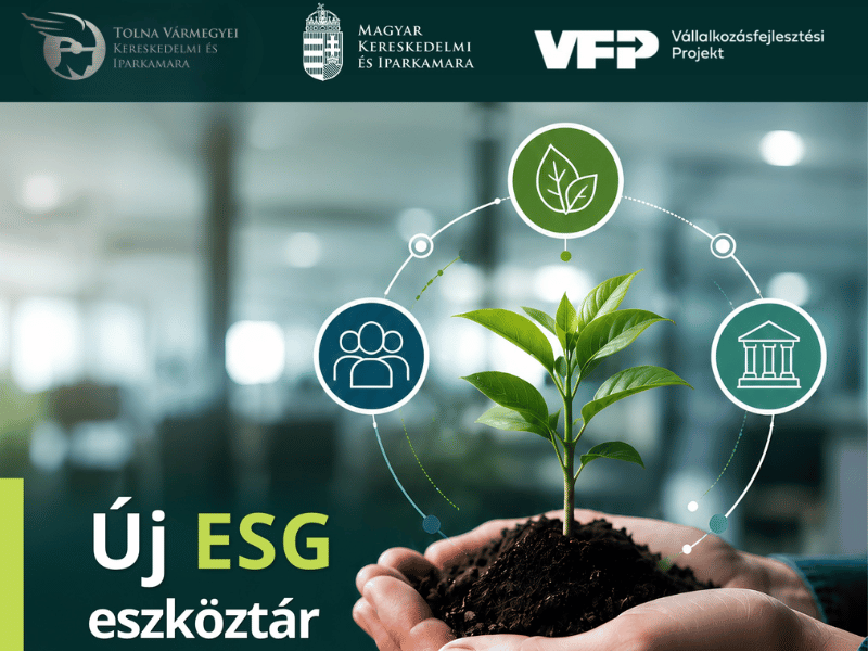 Új ESG eszköztár segíti a hazai vállalkozások felkészülését 